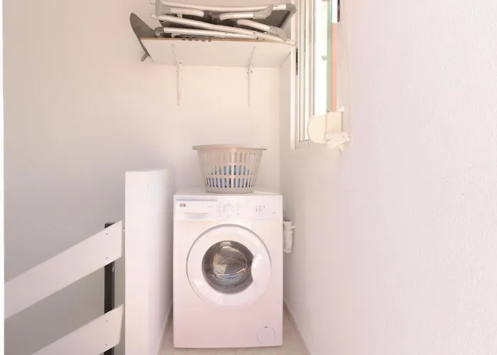 Pet Friendly In * 托雷维耶哈