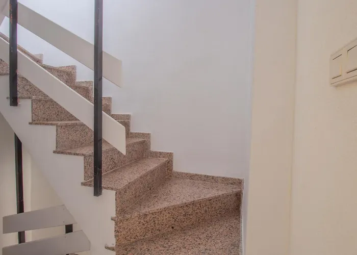 Pet Friendly In 度假居