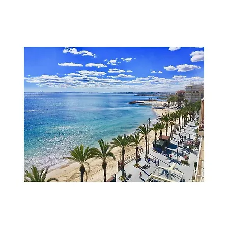 Pet Friendly In Tatil Evi *